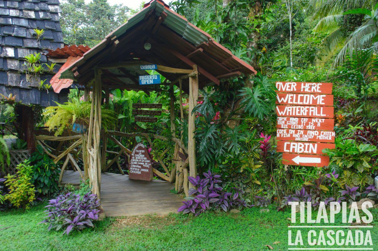 Cabinas Y Restaurante Tilapias La Cascada Hotel Ojochal Exterior foto